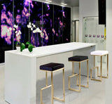 Ferrara Black Performance Vegan Leather and Gold Steel Barstool - Set of 2 by TOV Furniture at Eve Furniture