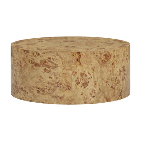 Fig Natural Burl Drum Coffee Table by TOV Furniture at Eve Furniture