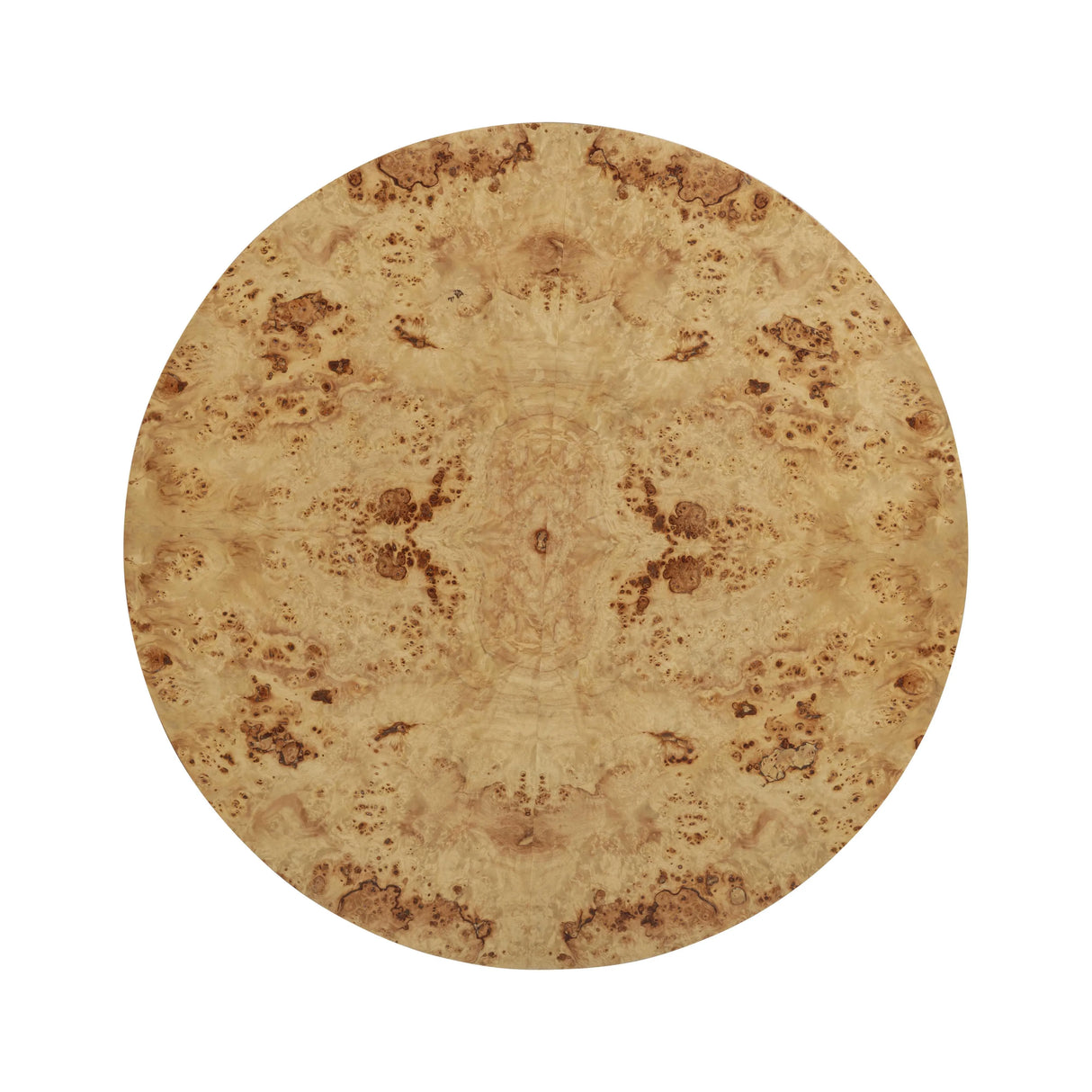 Fig Natural Burl Drum Coffee Table by TOV Furniture at Eve Furniture