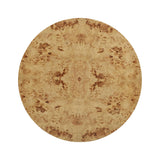 Fig Natural Burl Drum Coffee Table by TOV Furniture at Eve Furniture
