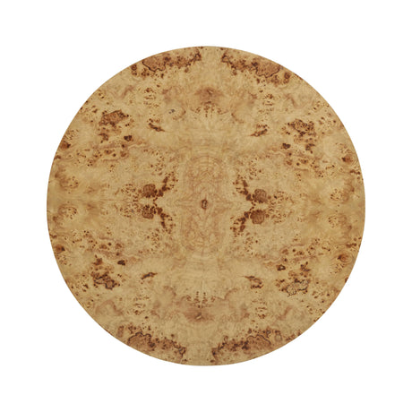 Fig Natural Burl Drum Coffee Table by TOV Furniture at Eve Furniture