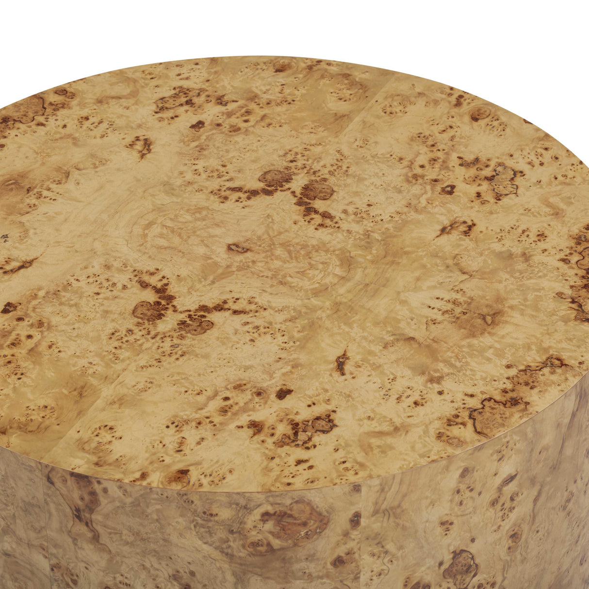 Fig Natural Burl Drum Coffee Table by TOV Furniture at Eve Furniture