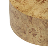Fig Natural Burl Drum Coffee Table by TOV Furniture at Eve Furniture