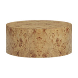 Fig Natural Burl Drum Coffee Table by TOV Furniture at Eve Furniture