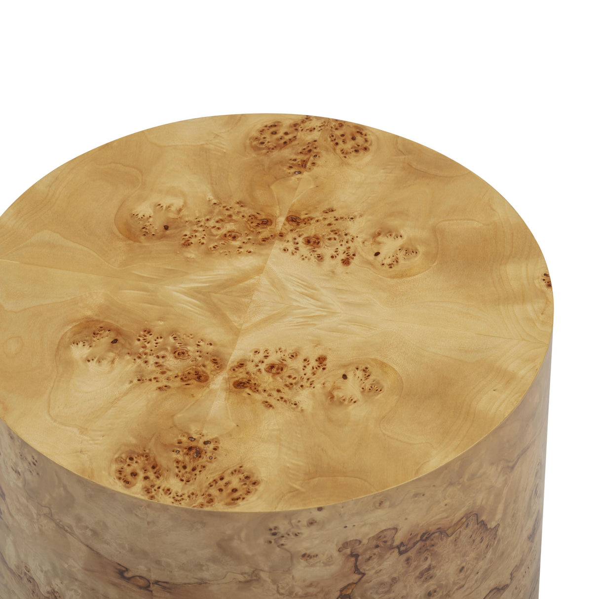 Fig Natural Burl Drum Side Table by TOV Furniture at Eve Furniture