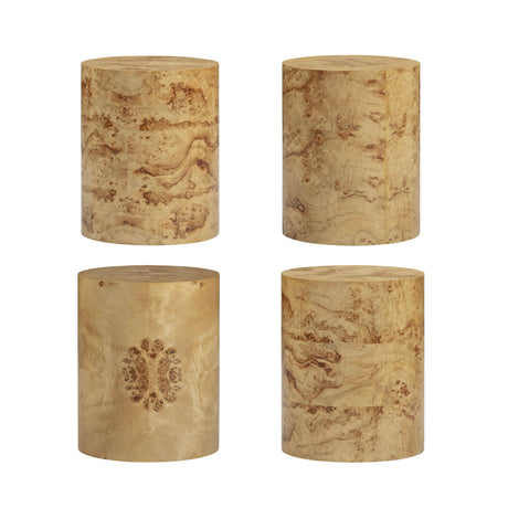 Fig Natural Burl Drum Side Table by TOV Furniture at Eve Furniture