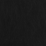 Finley Black Tufted Upholstered Loveseat by Coaster at Eve Furniture