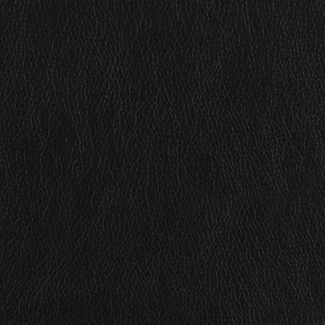 Finley Black Tufted Upholstered Sofa by Coaster at Eve Furniture