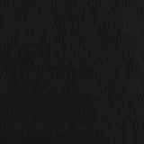 Finley Tufted Upholstered Chair Black by Coaster at Eve Furniture