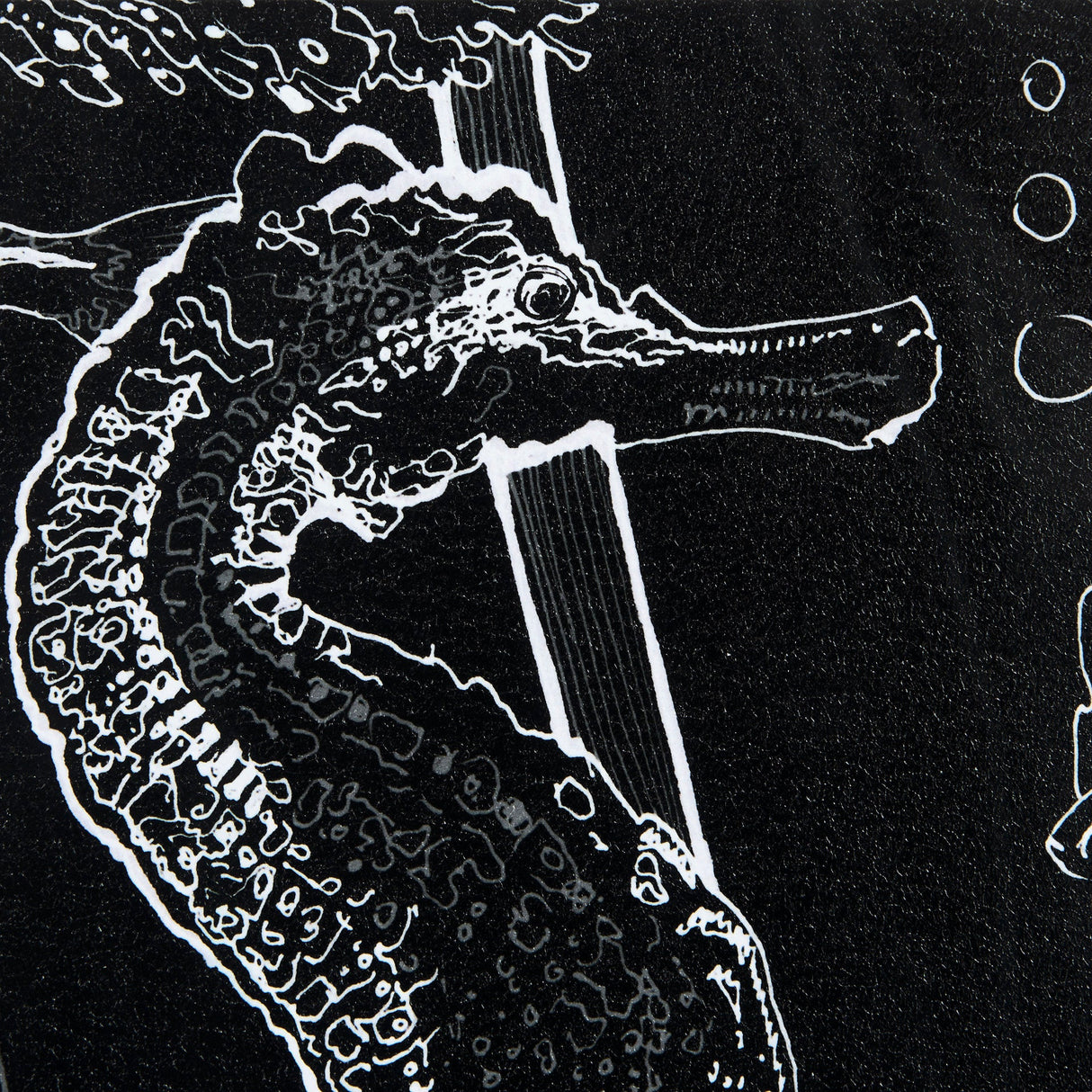 Fish Black by Mercana Studio a Hand Embellished Textured Framed Art Print Matted under Glass by Mercana at Eve Furniture