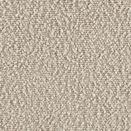 Fitzroy Latte Boucle Upholstered Accent Arm Chair by Coaster at Eve Furniture