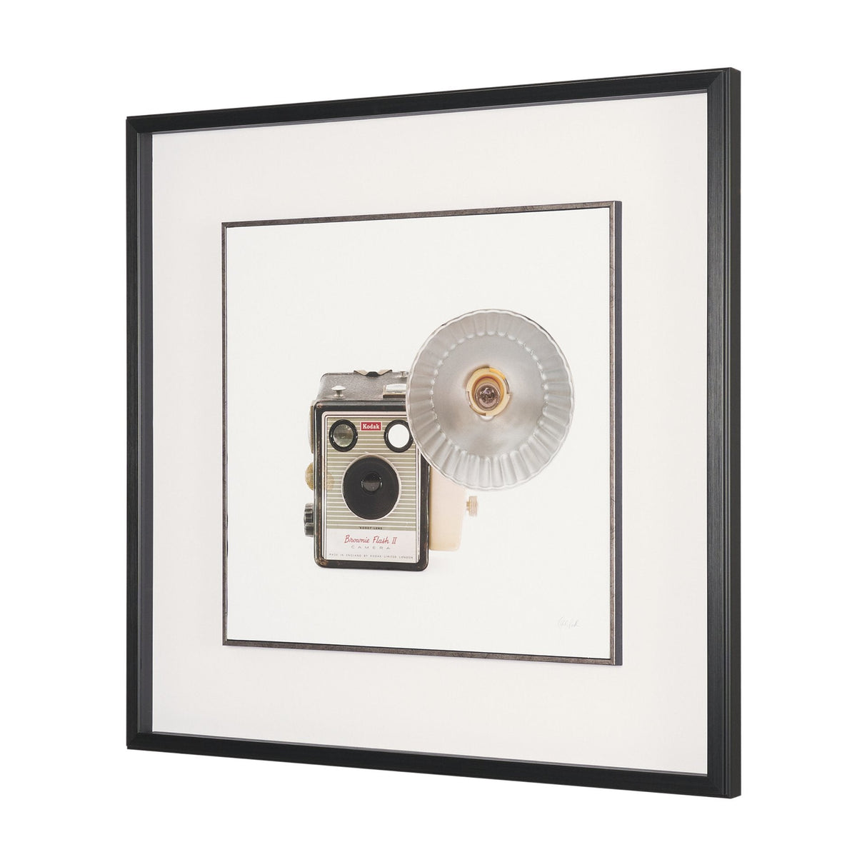 Flash Bulb Camera by Deborah Revell Hand Embelished Framed Art Print Matted under Glass by Mercana at Eve Furniture