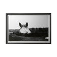 Flirt by Aledanda a Framed Photo Art Print Matted under Glass by Mercana at Eve Furniture