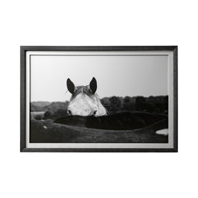 Flirt by Aledanda a Framed Photo Art Print Matted under Glass by Mercana at Eve Furniture