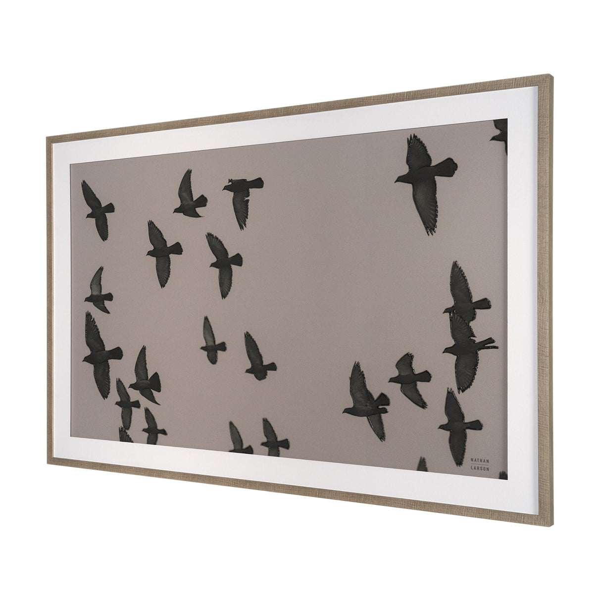 Flock I by Nathan Larson a Hand Embellished Framed Photo Print under Glass by Mercana at Eve Furniture