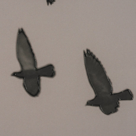 Flock I by Nathan Larson a Hand Embellished Framed Photo Print under Glass by Mercana at Eve Furniture