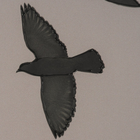 Flock I by Nathan Larson a Hand Embellished Framed Photo Print under Glass by Mercana at Eve Furniture