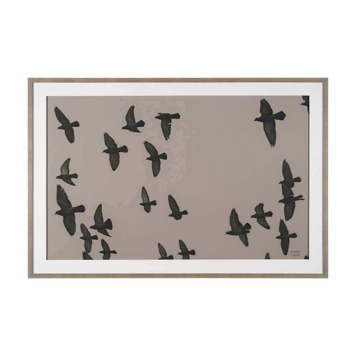 Flock I by Nathan Larson a Hand Embellished Framed Photo Print under Glass by Mercana at Eve Furniture