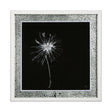 Flora II by Mercana Studio a Hand Embellished Textured Framed Art Print Matted under Glass by Mercana at Eve Furniture