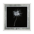 Flora III by Mercana Studio a Hand Embellished Textured Framed Art Print Matted under Glass by Mercana at Eve Furniture