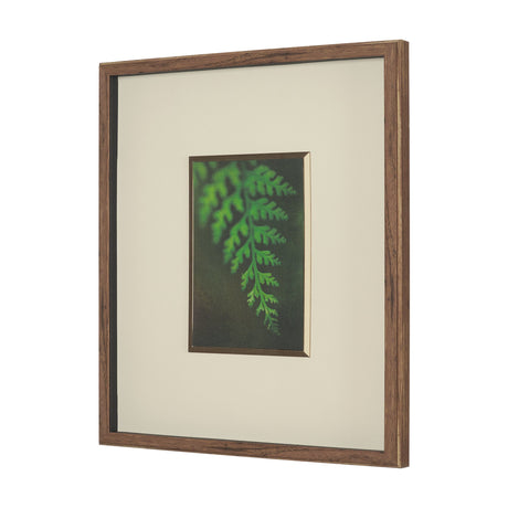 Floral Bliss by Michael Banks a Hand Embellished Framed Photo Art Print Matted under Glass by Mercana at Eve Furniture