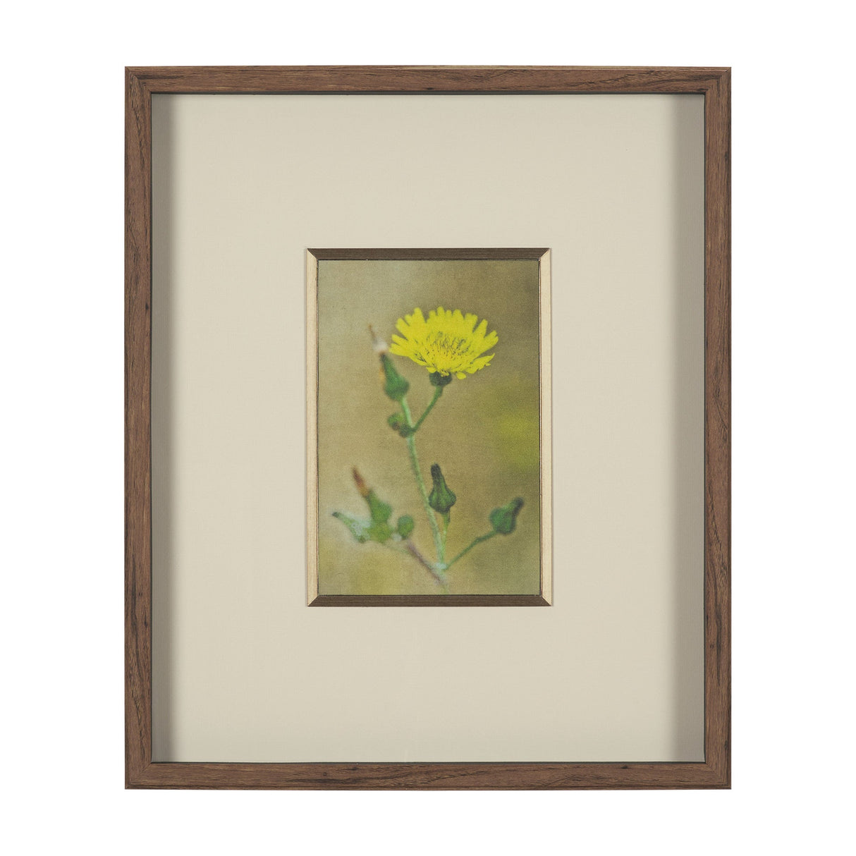 Floral Bliss by Michael Banks a Hand Embellished Framed Photo Art Print Matted under Glass by Mercana at Eve Furniture