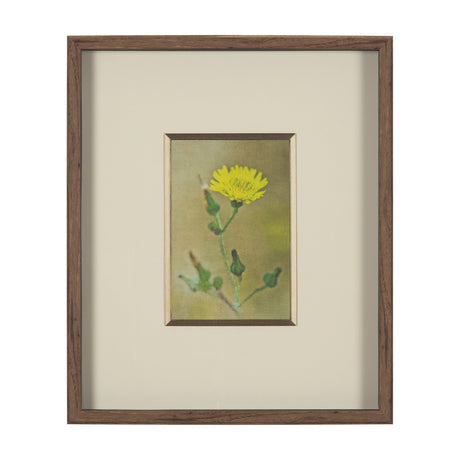 Floral Bliss by Michael Banks a Hand Embellished Framed Photo Art Print Matted under Glass by Mercana at Eve Furniture