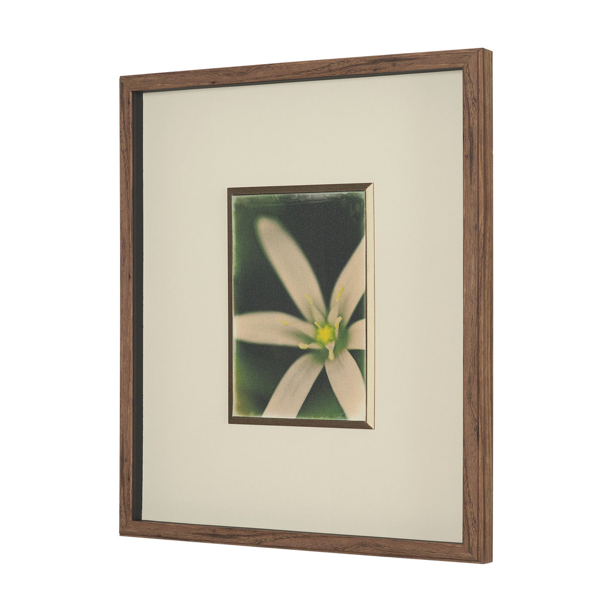 Floral Finesse by Michael Banks a Hand Embellished Framed Photo Art Print Matted under Glass by Mercana at Eve Furniture