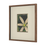 Floral Finesse by Michael Banks a Hand Embellished Framed Photo Art Print Matted under Glass by Mercana at Eve Furniture