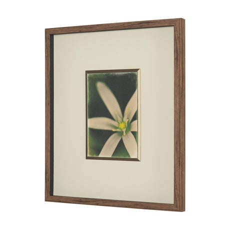 Floral Finesse by Michael Banks a Hand Embellished Framed Photo Art Print Matted under Glass by Mercana at Eve Furniture