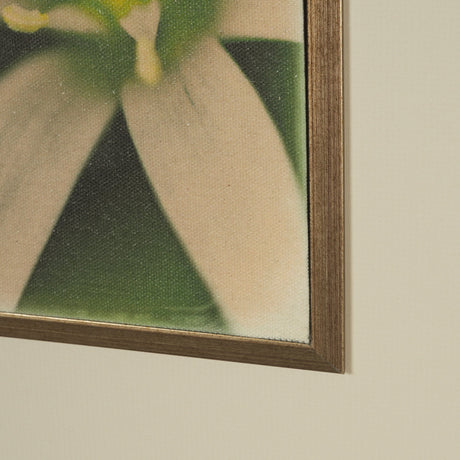Floral Finesse by Michael Banks a Hand Embellished Framed Photo Art Print Matted under Glass by Mercana at Eve Furniture
