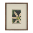 Floral Finesse by Michael Banks a Hand Embellished Framed Photo Art Print Matted under Glass by Mercana at Eve Furniture