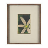 Floral Finesse by Michael Banks a Hand Embellished Framed Photo Art Print Matted under Glass by Mercana at Eve Furniture