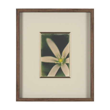 Floral Finesse by Michael Banks a Hand Embellished Framed Photo Art Print Matted under Glass by Mercana at Eve Furniture