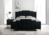 Florizel Black/Gold Upholstered Queen Bed by Furniture of America at Eve Furniture
