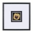 Flower Portrait I by Mercana Studio a Hand Embellished Textured Framed Art Print Matted under Glass by Mercana at Eve Furniture