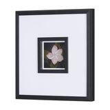 Flower Portrait III by Mercana Studio Hand Embellished Textured Framed Art Print Matted under Glass by Mercana at Eve Furniture
