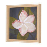 Flower Portrait III (FRANGIPANI) by Mercana Studio a Hand Embellished Textured Framed Art Print by Mercana at Eve Furniture