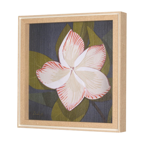 Flower Portrait III (FRANGIPANI) by Mercana Studio a Hand Embellished Textured Framed Art Print by Mercana at Eve Furniture