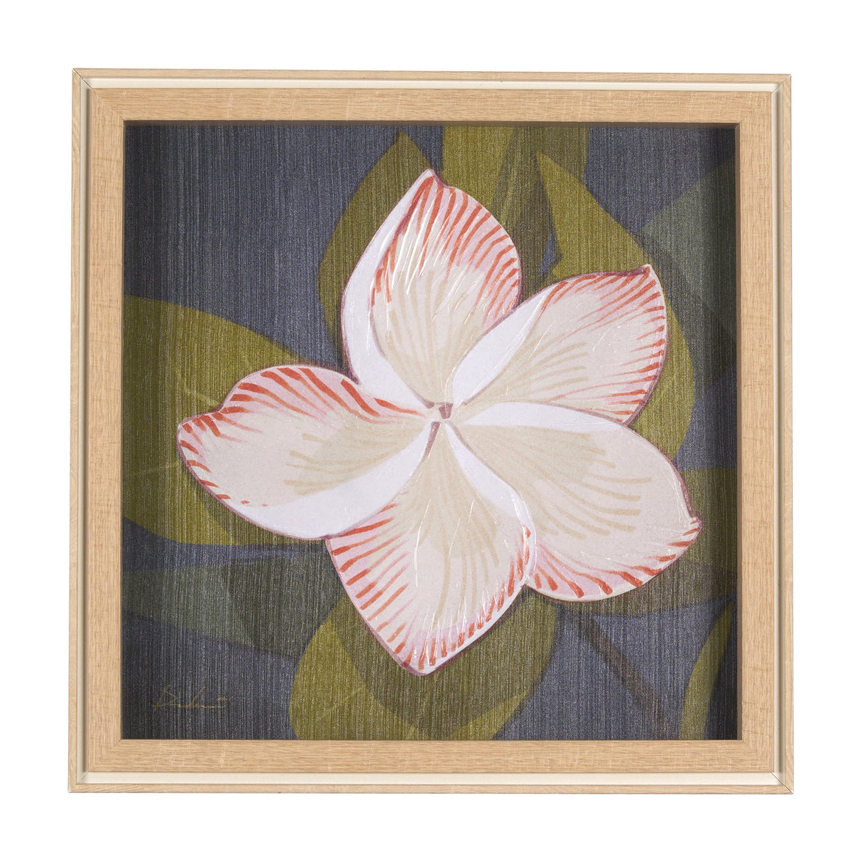 Flower Portrait III (FRANGIPANI) by Mercana Studio a Hand Embellished Textured Framed Art Print by Mercana at Eve Furniture