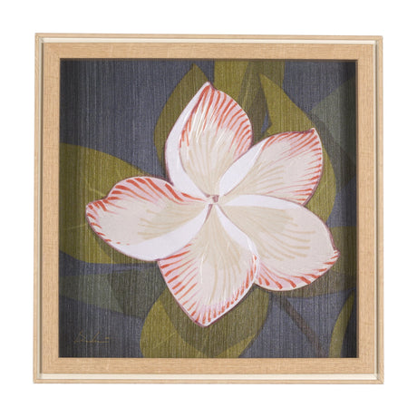 Flower Portrait III (FRANGIPANI) by Mercana Studio a Hand Embellished Textured Framed Art Print by Mercana at Eve Furniture
