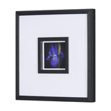 Flower Portrait IV by Mercana Studio a Hand Embellished Textured Framed Art Print Matted under Glass by Mercana at Eve Furniture