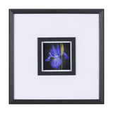 Flower Portrait IV by Mercana Studio a Hand Embellished Textured Framed Art Print Matted under Glass by Mercana at Eve Furniture