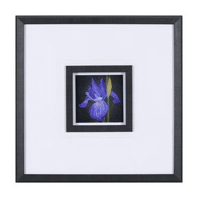 Flower Portrait IV by Mercana Studio a Hand Embellished Textured Framed Art Print Matted under Glass by Mercana at Eve Furniture