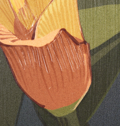 Flower Portrait VIII (CALLA LILY) by Mercana Studio a Hand Embellished Textured Framed Art Print by Mercana at Eve Furniture