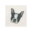 Floyd (Boston Terrier 1) by Mercana Studio a Hand Embellished Textured Canvas by Mercana at Eve Furniture