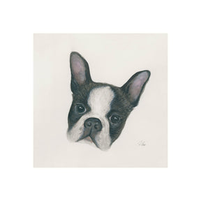 Floyd (Boston Terrier 1) by Mercana Studio a Hand Embellished Textured Canvas by Mercana at Eve Furniture