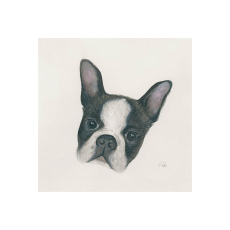Floyd (Boston Terrier 1) by Mercana Studio a Hand Embellished Textured Canvas by Mercana at Eve Furniture