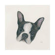 Floyd (Boston Terrier 1) by Mercana Studio a Hand Embellished Textured Canvas by Mercana at Eve Furniture