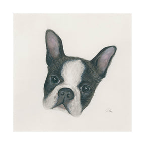 Floyd (Boston Terrier 1) by Mercana Studio a Hand Embellished Textured Canvas by Mercana at Eve Furniture